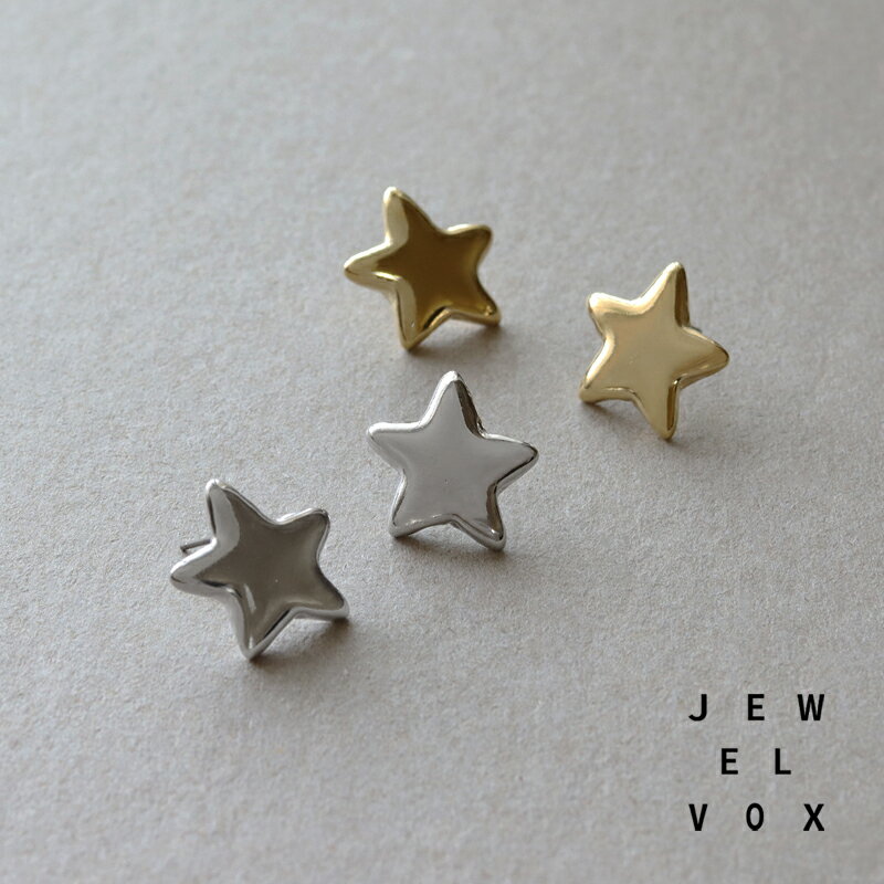 【メール便送料無料】 ピアス 真鍮 ニッケルフリー 金属アレルギー レディース チタンポスト ゴールド シルバー スター 星 モチーフ ニュアンス デイリー カジュアル オケージョン 普段使い 女性 プレゼントのサムネイル