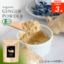 【ポイント3倍】ジンジャーパウダー オーガニック 120g 有機 JAS認証 生姜 粉末 パウダー しょうが ショウガ 乾燥粉末 乾燥粉末生姜 有機生姜末 しょうが湯 生姜湯 ホットドリンク 温活 冬 スパイス 調味料 香辛料 VOXTRY ヴォークス ポッキリ 1000円 送料無料