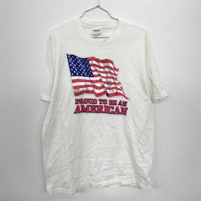 Hanes プリントTシャツ Lサイズ ヘインズ アメリカ 国旗 フラッグ ホワイト 古着卸 アメリカ仕入 t2206-4054