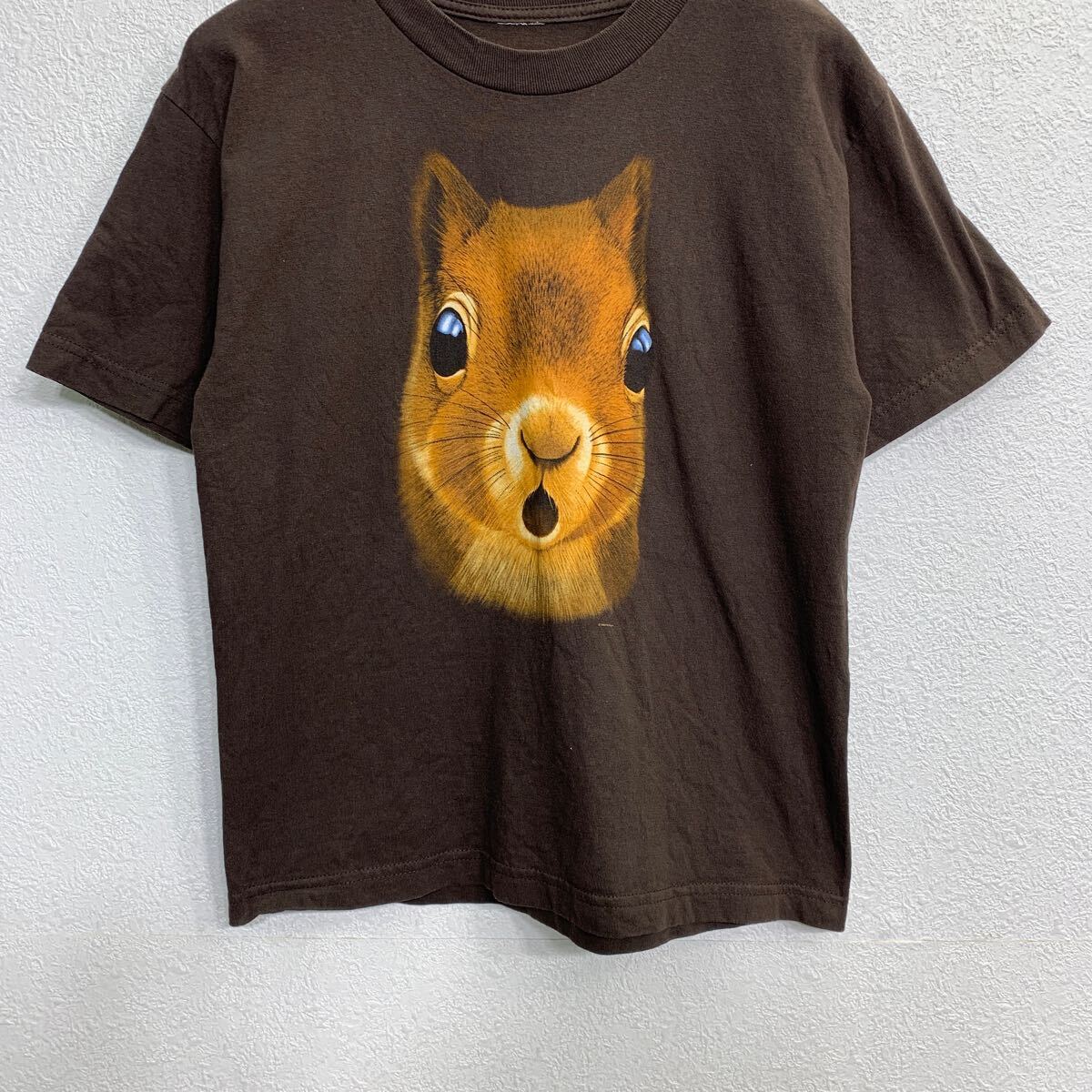 【中古】【古着】 半袖 プリント Tシャツ Sサイズくらい アニマルプリント ブラウン 古着卸 アメリカ仕入 t2408-3070