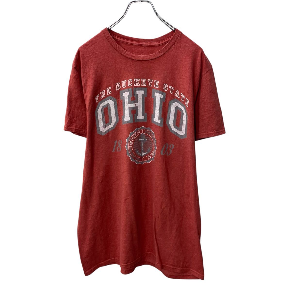 日式花纹 - 【中古】【古着】 半袖 プリントTシャツ XL〜 ペールレッド OHIO ビッグサイズ 古着卸 アメリカ仕入 a705-5035