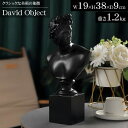【全品最大P23倍!9日20時〜】父の日 贈り物 プレゼント ギフト ダビデ像 置物 オブジェ 雑貨 胸像 38cm ミケランジェロ 現代抽象芸術 バスト像 美術館 古代ギリシャ オーナメント 石膏像風 人物像 彫像 彫刻 置物 DO-25BK(3)