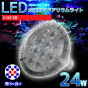 【全品最大P14倍 5/2～5/6まで】E26口金 24W 珊瑚 植物育成 水草用 水槽用 LEDアクアリウムスポットライト 青8灯×赤4灯 【QL-02】