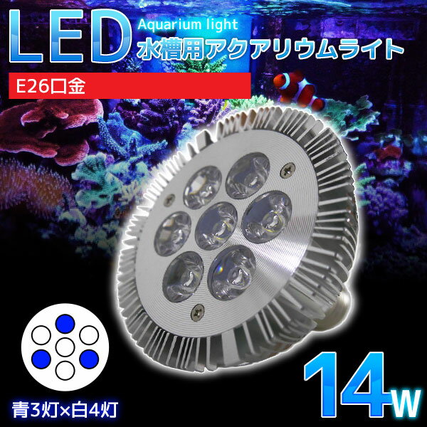 青色LED3灯×白色LED4灯のハイパワーLED！ 高輝度LEDは従来の蛍光管と比較して長寿命であり低消費電力！ ■冷却アルミフィンを使用しているのでさらに放熱効果をアップ！ 水槽内の水温上昇に影響をほとんど与えません。 ■一番普及している口金タイプになりますので、取り付ける器具を選びません。 現在お使いの照明器具への御交換も、口金が合えば使用に問題ありません。 また、水槽照明に限らず、部屋のワンポイント照明としてもお使い頂けます。 用途は色々、お客様のアイディア次第で様々なご使用方法が御座います。 ■仕様 本体サイズ ： 直径9.5×奥行9.5cm(約) 口金サイズ：E26 照射レンズ角度：60° 　　　 注意事項 ・海外品により取り扱い説明書は付属はしておりません。 ・またメーカー品ではない為、取り扱いについてのサポートはできませんので,ご了承下さい。 ・入荷時期により仕様変更等がある場合がございますのでご理解の方宜しくお願いします。 ・輸入品になりますので、箱の損傷がありますのでご理解の上御入札宜しくお願いします。