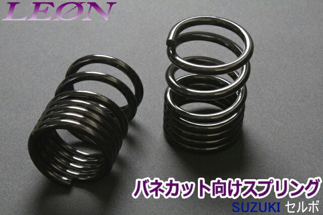 ꥢץ Хͥå  HG21S 170mm 5K 21å  åȥ LEON