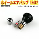 ホイール タイヤバルブ エアバルブ ゴムバルブ クローム TR412 単品「チューブレス スナップインゴムバルブ ショートタイプ」 「メール便対応」 「あす楽対応」