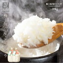 【マラソン期間限定P5倍】米 お米 10kg 送料無料 新潟県 極上魚沼産 コシヒカリ こしひかり 白米 令和6年産【産地直送】ギフト 贈答 お歳暮 お中元