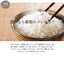 米 お米 2kg 令和5年産 新潟産 新潟県産 コシヒカリ こしひかり 白米【産地直送】ギフト 贈答 お歳暮 お中元 父の日 母の日 敬老の日 3