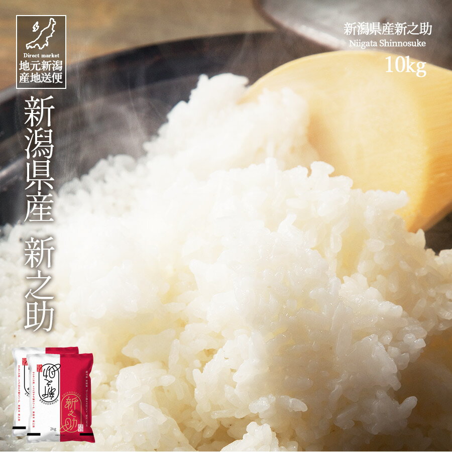 米 お米 10kg 送料無料 