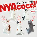 【全5種類セット】ガチャ ガチャガチャ コンプリート 中身 動物 猫 ネコ かわいい フィギュア おもちゃ [ NYAoooo!! ] ミケ スコティッシュフォールド エキゾチック ブリティッシュ ノルウェージャン ブラインドボックス