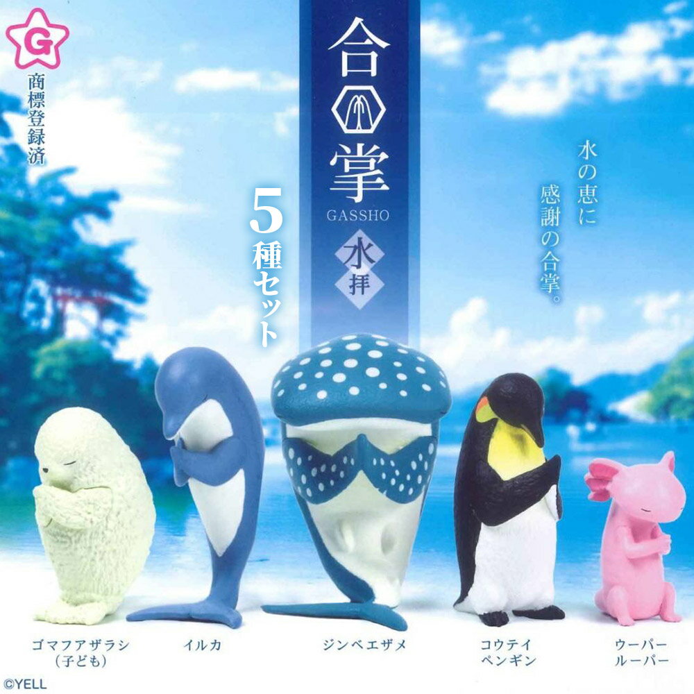 楽天市場】ゴマフアザラシの通販
