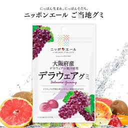 ご当地グミ ニッポンエール 大阪府産 デラウェアグミ ご当地 お菓子 グルメ お土産 名産 果実グミ 全国農協食品