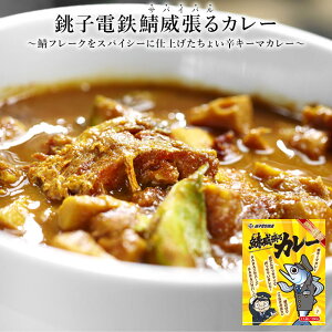 カレー レトルト 単品 [ 銚子電鉄鯖威張るカレー ] レトルトカレー お試し バラ売り 惣菜 食品 保存食 常温保存 長期保存 千葉県 銚子電鉄 鯖 サバ キーマカレー ご当地 160g【コンビニ受取対応商品】