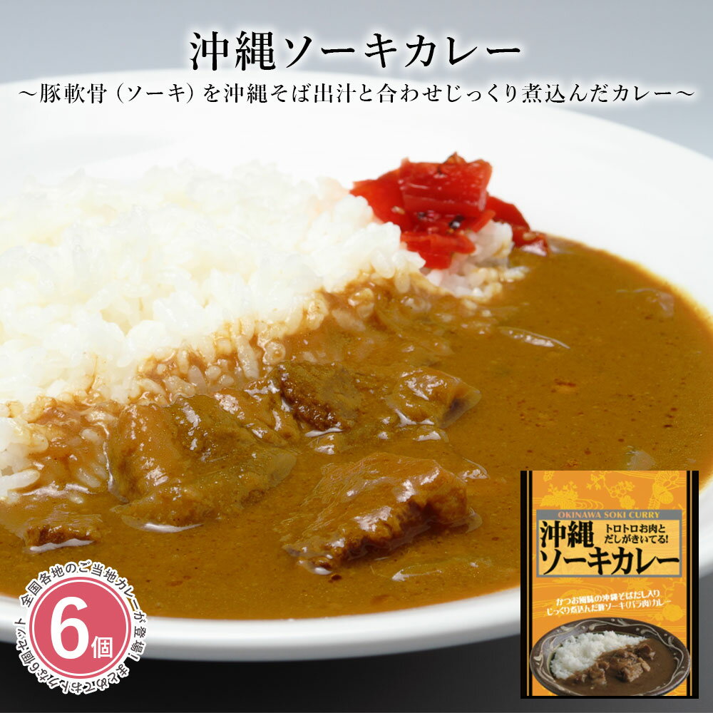 カレー レトルト 詰め合わせ [ 沖縄ソーキカレー 6個セット ] レトルトカレー お試し 惣菜 食品 保存食 常温保存 長期保存 沖縄県 ご当地 豚軟骨 ソーキ 沖縄そば 180g【コンビニ受取対応商品】