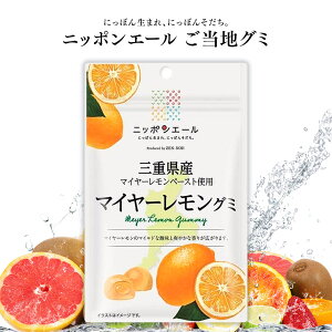 ご当地グミ ニッポンエール 三重県産 マイヤーレモングミ ご当地 お菓子 グルメ お土産 名産 果実グミ 全国農協食品