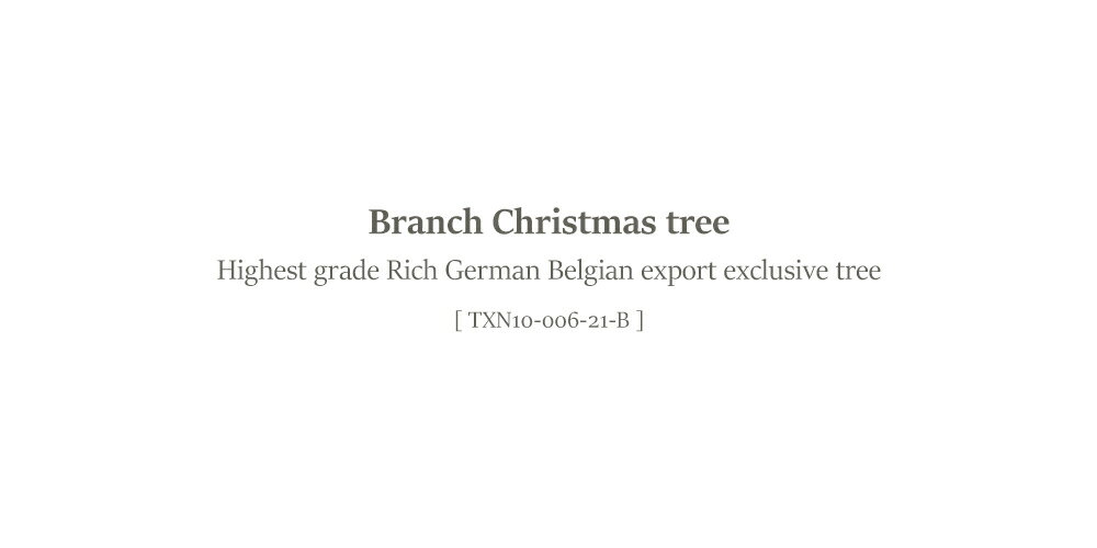 S-Branch『クリスマスツリーモミと松（TXN10-006-21-B）』