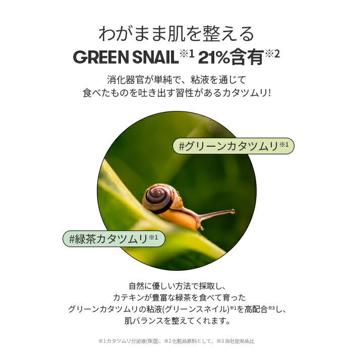 【新発売】【VT公式】【 スネイル リードル ショット 100B ( ブースター 美容液 / 50ml) 】 導入液 ニードル エッセンス カタツムリ シカ CICA エイジングケア 角質 ブラックヘッド トラブル肌 韓国 コスメ 化粧品 スキンケア 肌 顔 ツヤ肌 vtcosmetic-official-10002025 VTcosmetic楽天市場店 サンプル画像3