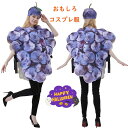 仮装 コスチューム 大人 おもしろ ハロウィン 衣装 ブドウ コスプレ衣装 ぶどう 果物 レディーズ メンズ 可愛い 男性 女性 かわいい ハロウィン衣装 ハロ...