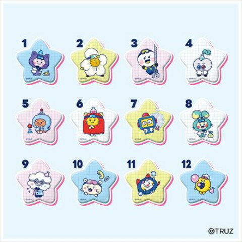 TRUZۥ饭饹Хå쥯 ñʢ(12)