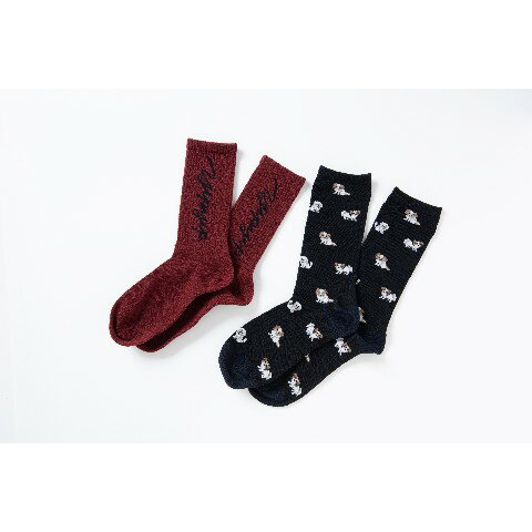 yipyip2022-23AWۥåå ǥ