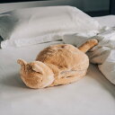 【ねこ雑貨】蓄熱式 ねこ湯たんぽ ブラウン