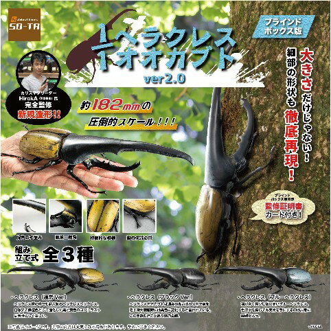 乐天商城 - 【20%OFF!!SALE】【コレクショントイ】ヘラクレスオオカブトver.2.0（1/1サイズ）≪BOX≫（4個入り/全3種）