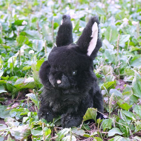 �ڥ�ԥ̡ۥϥХ� BK