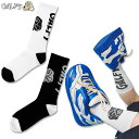 ガルフィー GALFY ロゴJQDソックス 靴下 152010 #10 WHITE #20 BLACK ギャル メンズ レディース 25SS