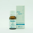 KENSOA}tOXE`AAbv 10ml F