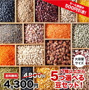 \ スーパーSALE 10% OFF!! / 【送料無料】 17種から1kg×5つ選べる豆セット!! チャック袋入 クリスマス 福袋 カレー