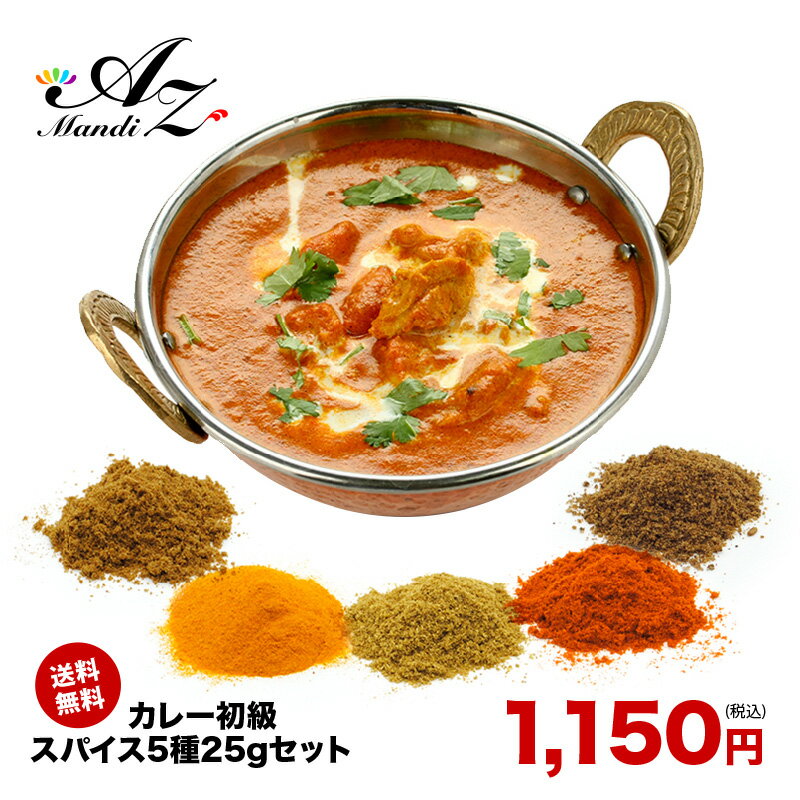 【送料無料 レシピ付】 カレー 初級 スパイス 5種 セット 25g チャック袋入 スパイスカレー 手作りカレー クミン ターメリック コリアンダー チリペッパー ガラムマサラ ポッキリ 送料込み お得 人気 お試し セット クリスマス Christmas Xmas