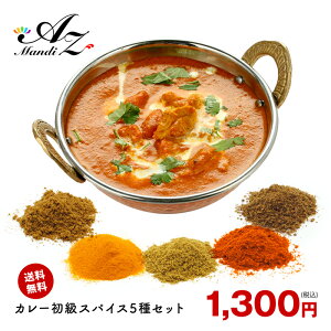 【送料無料 レシピ付】 カレー 初級 スパイス 5種 セット チャック袋入 スパイスカレー 手作りカレー クミン ターメリック コリアンダー チリペッパー ガラムマサラ ポッキリ 送料込み お得 人気 お試し お試しセット