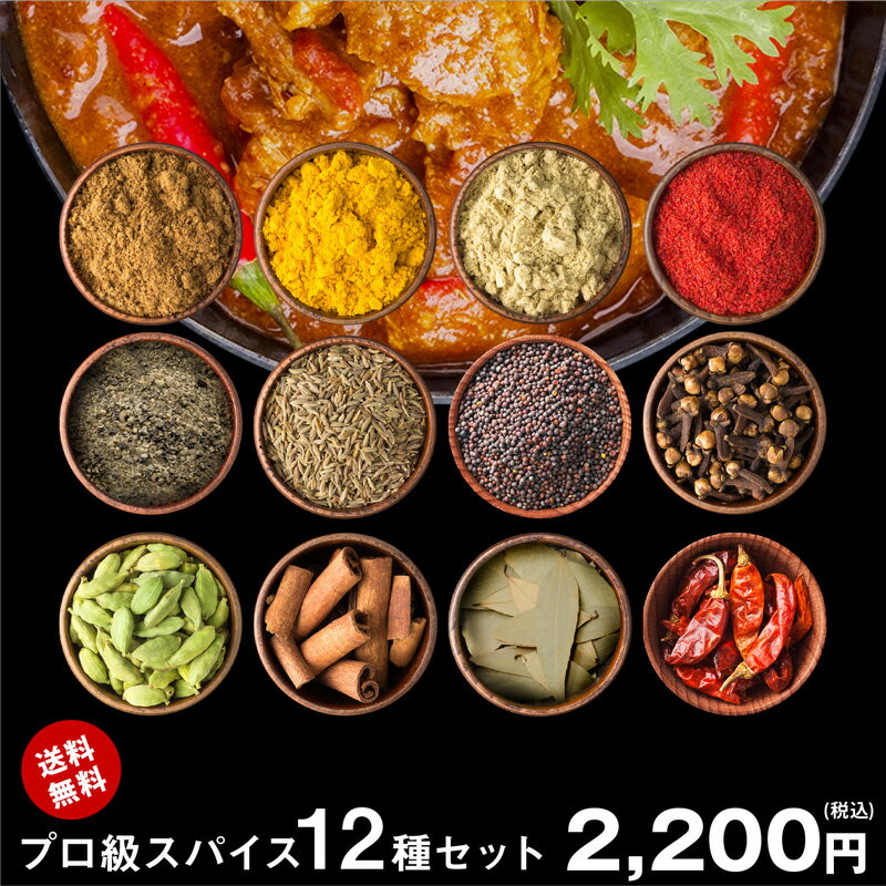 ＼価格改定／【送料無料 レシピ付】 チャック付袋入 カレー プロ級 スパイス 12種 セット スパイスカレー ポークビンダルー ポークヴィンダルー ビリヤニ クミン クローブ コリアンダー マスタードシード グリーンカルダモン