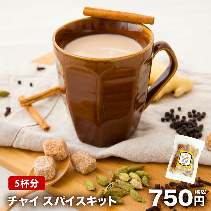 【レシピ付】【5杯分】チャイ スパイスキット チャック袋入 マサラチャイ チャイ スパイス お試し シナ..