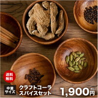 クラフトコーラ 中量スパイスセット チャック袋入 スパイス シナモン ジンジャー ブラックペッパー カルダモン クローブ スターアニス クラフト コーラ CraftCola Craft Cola ジンジャーエール クリスマス Christmas Xmas