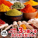 \ スーパーSALE 10% OFF!! / 【送料無料】 48種から3つ選べる中量スパイスセット! チャック袋入 スパイス シナモン ジンジャー ブラックペッパー カルダモン クローブ ガーリック ターメリック クミン ガラムマサラ コリアンダー クリスマス Christmas Xmas 福袋