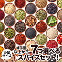 \ スーパーSALE 10% OFF!! / 【送料無料】 48種から7つ選べる少量スパイスセット! チャック袋入 スパイス シナモン ジンジャー ブラックペッパー カルダモン クローブ ガーリック ターメリック クミン ガラムマサラ コリアンダー マスタード クリスマス 福袋 カレー