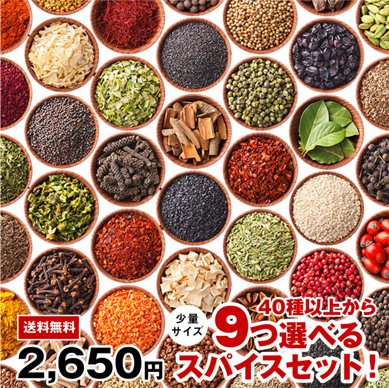 【送料無料】 48種から9つ選べる少量スパイスセット！ チャック袋入 スパイス シナモン ジンジャー ブラックペッパー カルダモン クローブ ガーリック ターメリック クミン ガラムマサラ コリアンダー マスタード クリスマス 　福袋 カレーのサムネイル