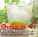 【レシピ付き】 梅シロップ用スパイス4種セット シナモン ジンジャー クローブ グリーンカルダモン 梅酒 スパイス酒 レモネード