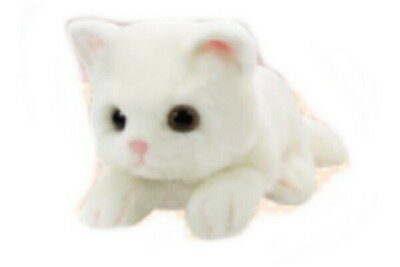 【全品　送料無料！】　オリジナル　コネコシリーズ　ぬいぐるみホワイト　白　ネコ　動物　アニマル　人形　ドール　マスコット　おもちゃ　子供　キッズ　インテリア　雑貨　グッズ　かわいい