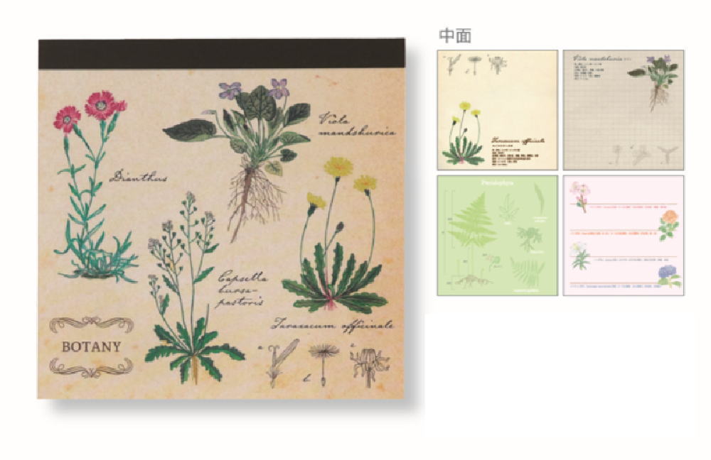 グリST-165 【全品　送料無料！】　【5個セット】　【セット】　【セット商品】　オリジナル　メモパッ..