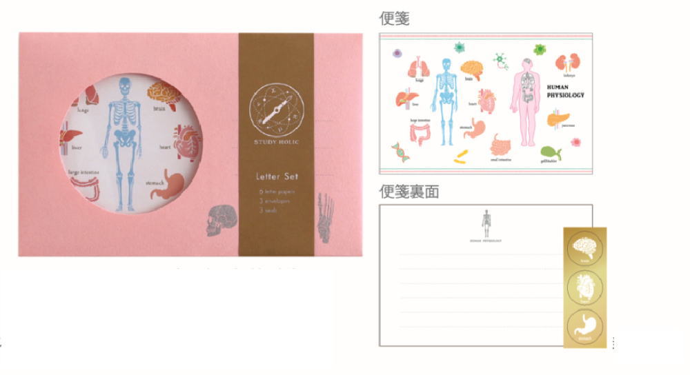 グリST-262 【全品　送料無料！】　【5個セット】　【セット】　【セット商品】　オリジナル　レターセ..