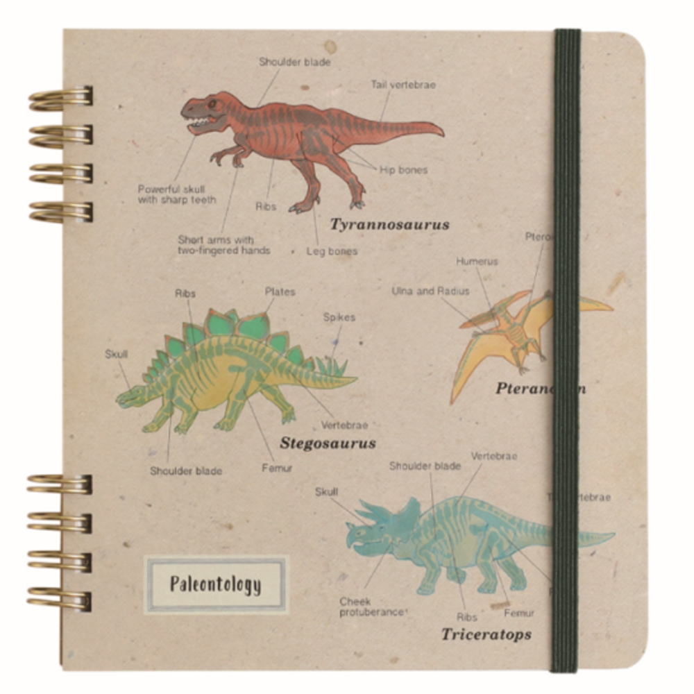 グリST-265 【全品　送料無料！】　オリジナル　リングノート・スクエア古生物学　STUDY HOLIC　ノート..