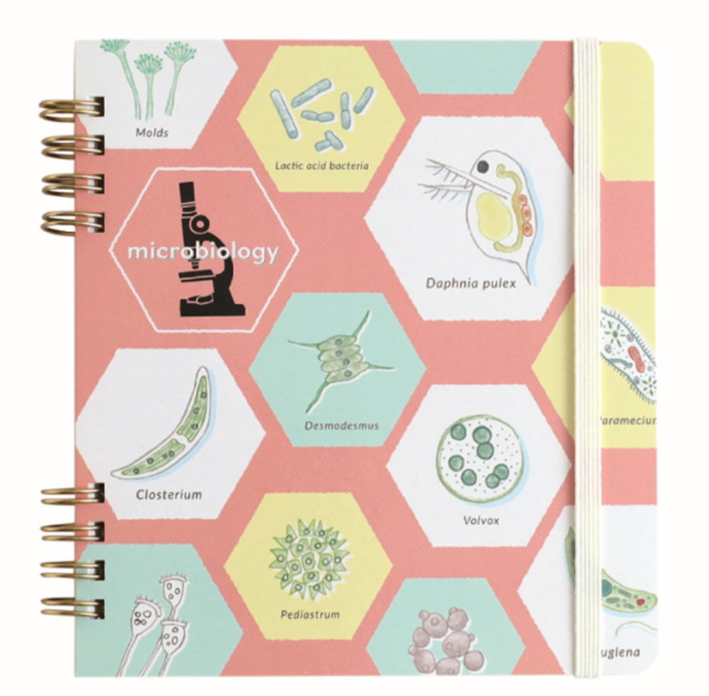 グリST-270 【全品　送料無料！】　オリジナル　リングノート・スクエア微生物学　STUDY HOLIC　ノート..