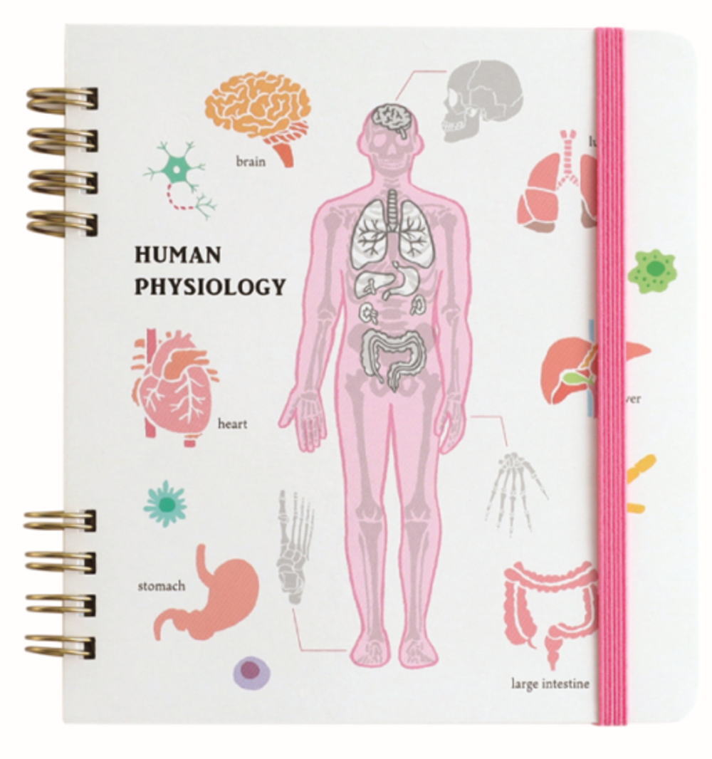 グリST-271 【全品　送料無料！】　オリジナル　リングノート・スクエア人類生物学　STUDY HOLIC　ノー..