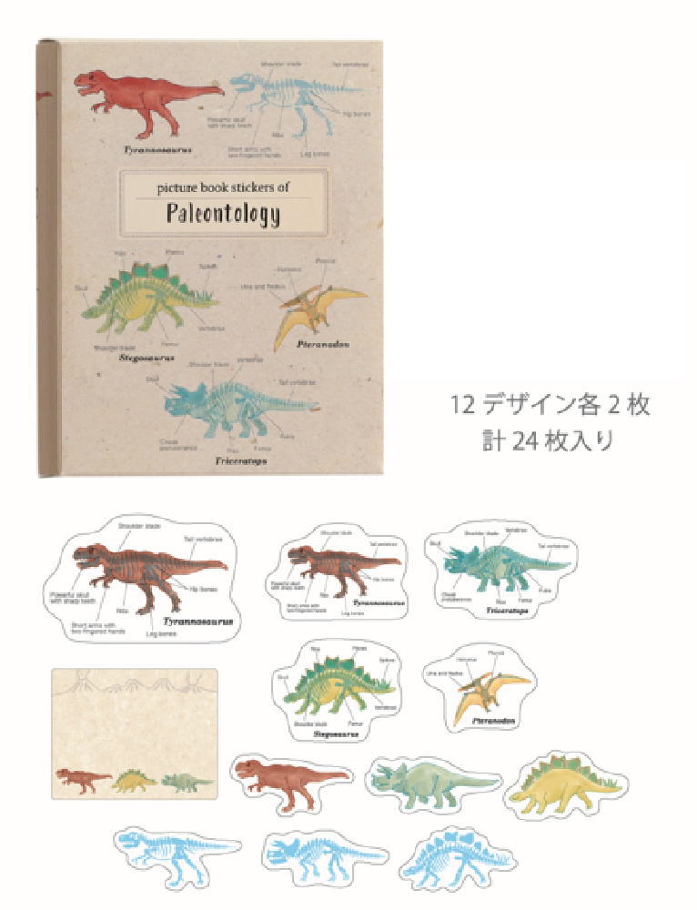 グリST-274 【全品　送料無料！】　【5個セット】　【セット】　【セット商品】　オリジナル　図鑑型ケ..
