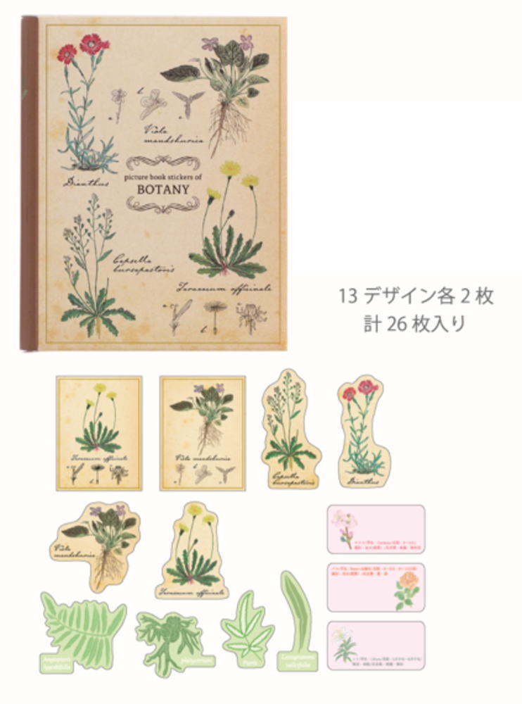 グリST-281 【全品　送料無料！】　【5個セット】　【セット】　【セット商品】　オリジナル　図鑑型ケ..