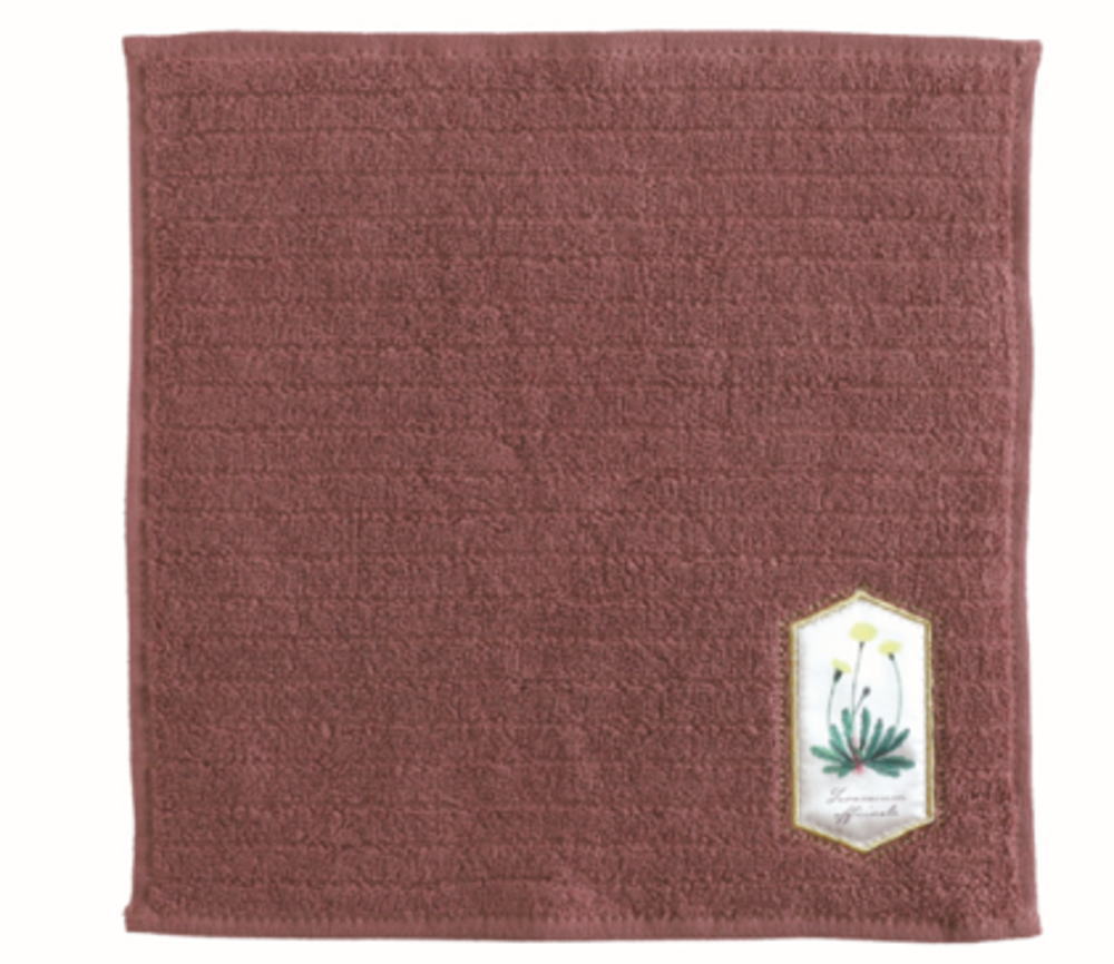 グリST-254 【全品　送料無料！】　オリジナル　タオルハンカチ植物学　STUDY HOLIC　タオル　たおる　..