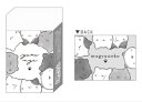 【全品 送料無料!】 セット商品 10個入り 日本製 オリジナル まとまるくん消しゴムむぎゅねこ ゆるにゃー 動物 アニマル 消しごむ けしごむ 文房具 学校 ...