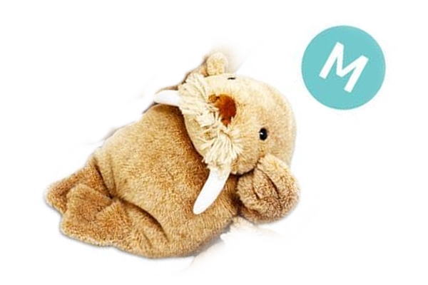 【全品 送料無料！】 オリジナル 海中散歩 ぬいぐるみM セイウチさんの一日 海 動物 アニマル 生き物 マスコット 人形 おもちゃ インテリア 子供 キッズ 雑貨 グッズ かわいい